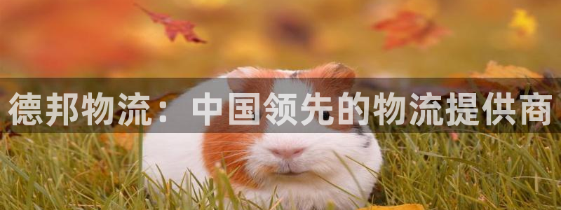 28圈预测：德邦物流：中国领先的物流