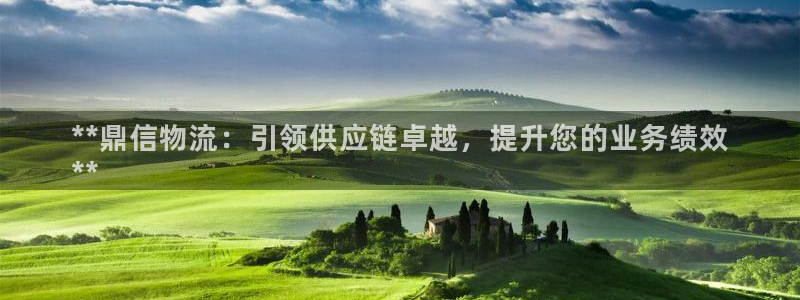 28圈模拟：**鼎信物流：引领供应链