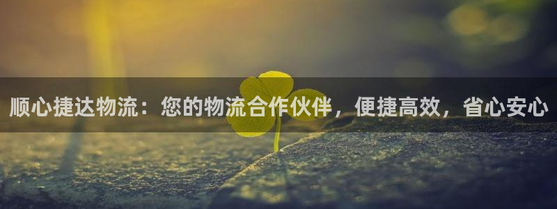 28圈注册网页版：顺心捷达物流：您的