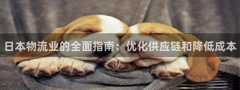 28圈.ccmo：日本物流业的全面指