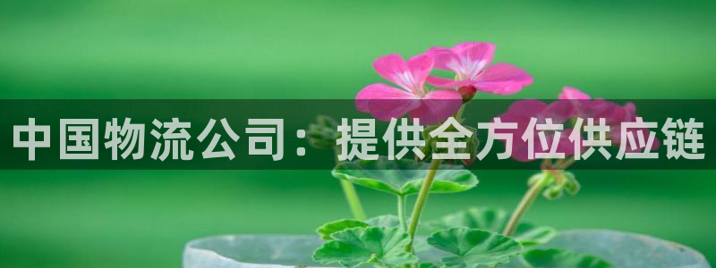 28圈起来的符号：中国物流公司：提供