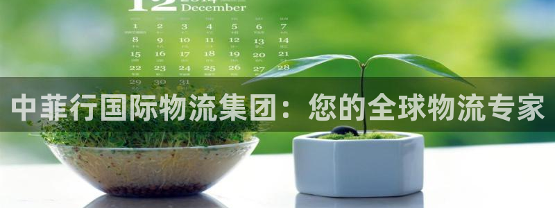 28圈百度百科：中菲行国际物流集团：