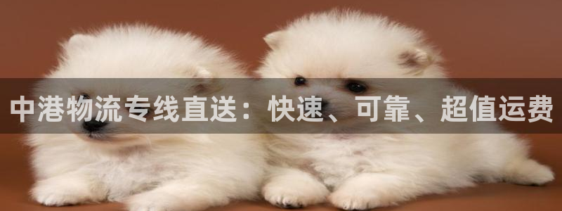 28圈官网版所有版本：中港物流专线直