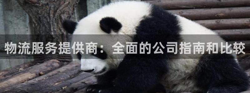 28圈稳吗：物流服务提供商：全面的公