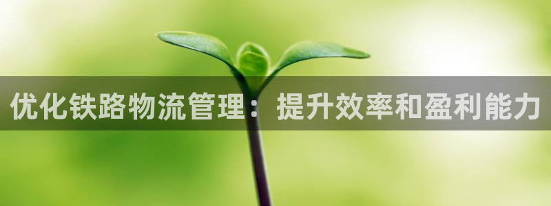 28圈怎么下载：优化铁路物流管理：提