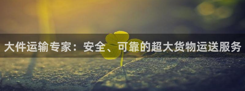 28圈模拟：大件运输专家：安全、可靠的超大货物运送服务