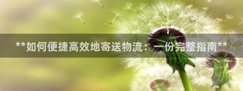 28圈里的财神：**如何便捷高效地寄