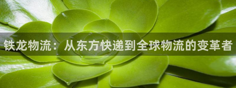28圈链接是什么