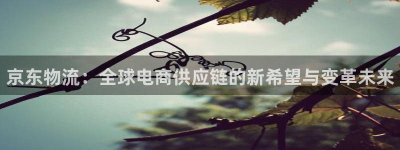 28圈.ccmo