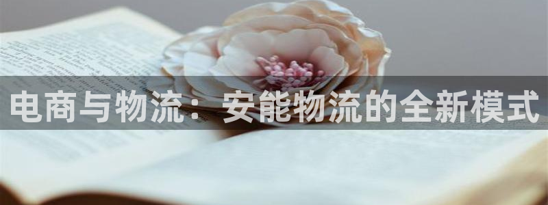 28圈注册网站多少