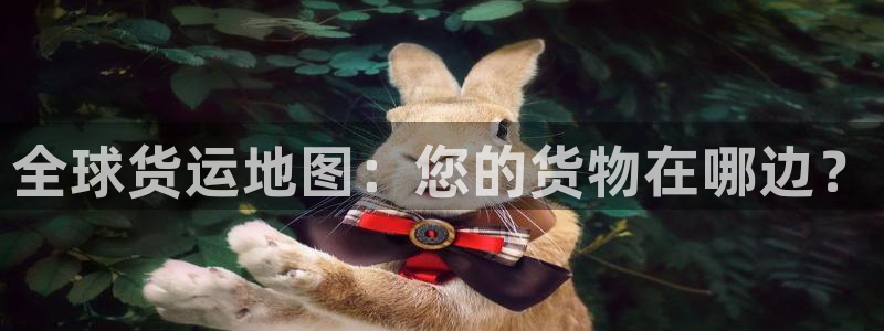 28圈现在狂杀