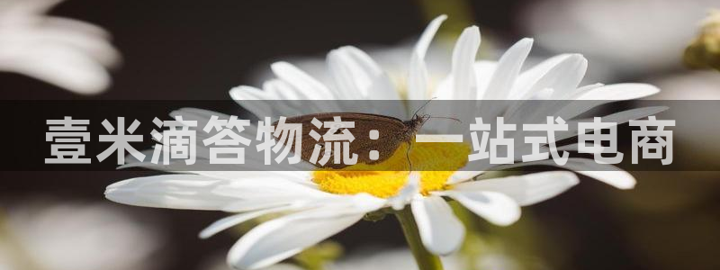 28圈pg如何退钱
