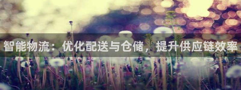 28圈体育下载