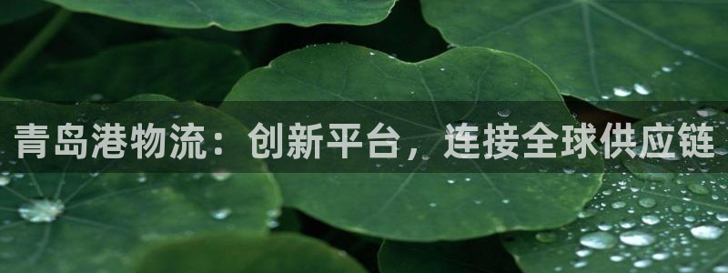 南宫28圈官网版