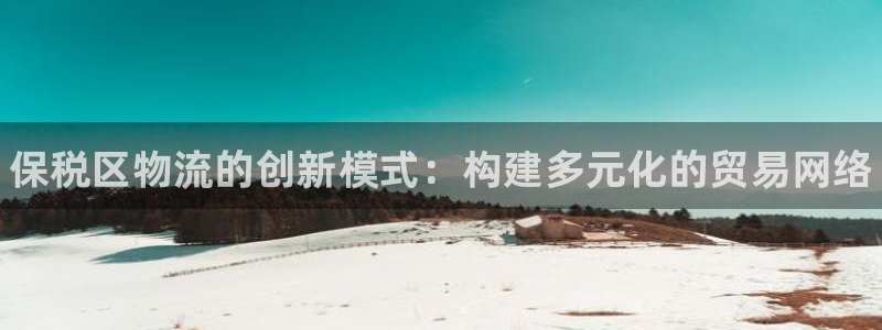 28圈官网链接：保税区物流的创新模式
