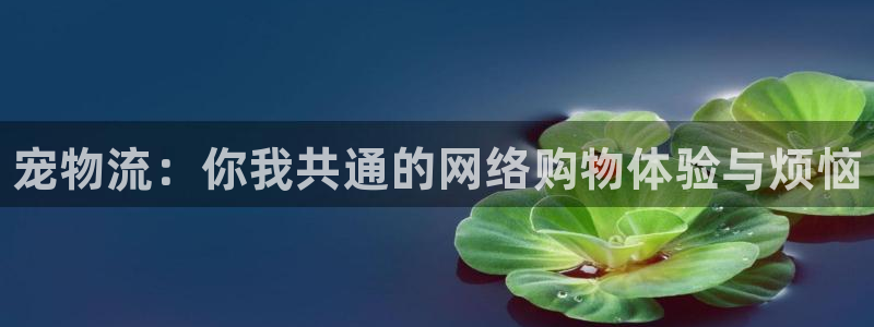 28圈加拿大6.0：宠物流：你我共通