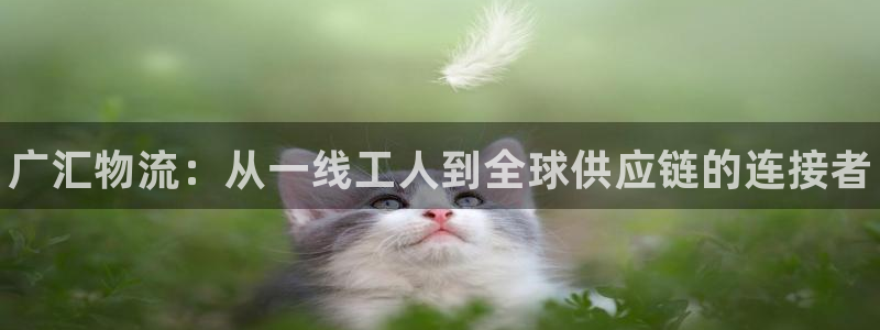 28圈大舞台:广汇物流:从一线工人到