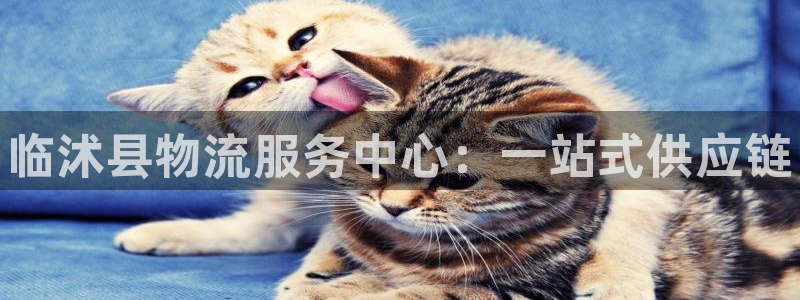 麻将128圈：临沭县物流服务中心：一站式供应链