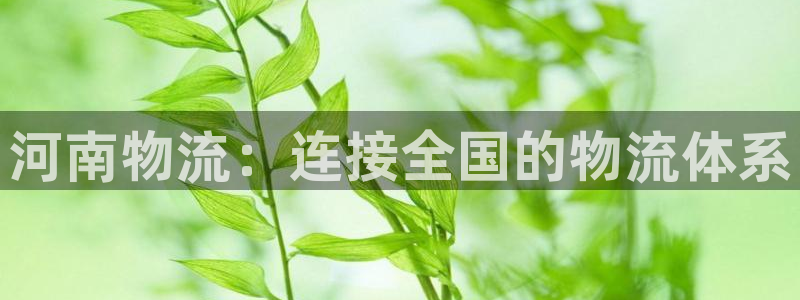 28圈充值不处理会怎么样:河南物流: