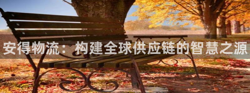 28圈官方平台：安得物流：构建全球供