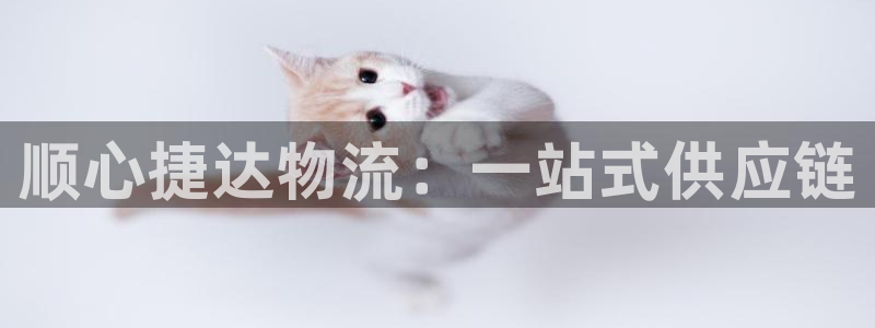 28圈相信品牌的力量