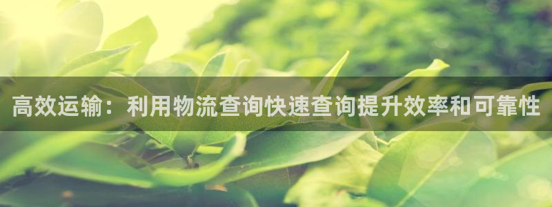 28圈游戏官网平台