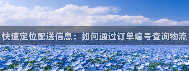 28圈下载链接是多少