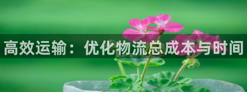 28圈链接多少：高效运输：优化物流总