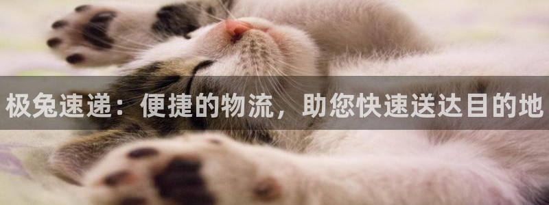 28圈注册网址百度知道：极兔速递：便捷的物流，助您快速送达目