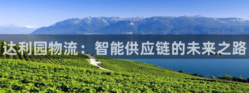 28圈如何退款：达利园物流：智能供应