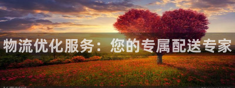 28圈注册步骤：物流优化服务：您的专