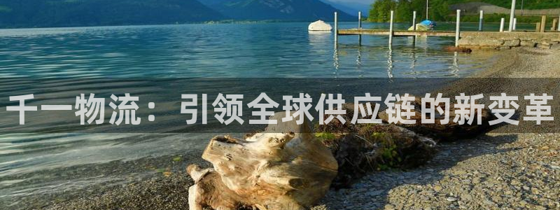 28圈pg麻将胡了2老是空转：千一物流：引领全球供应链的新变