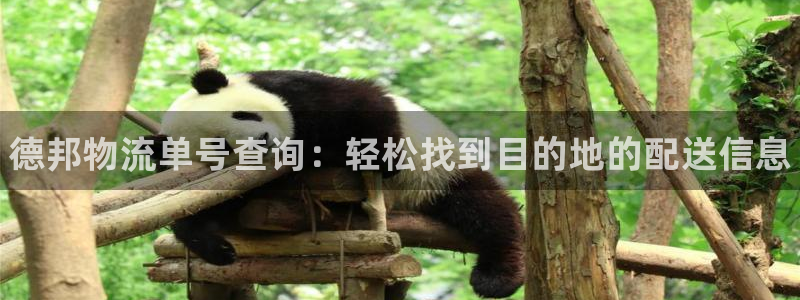 28圈电子游戏：德邦物流单号查询：轻