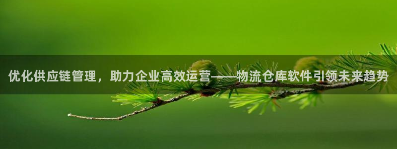 28圈注册网站谁有：优化供应链管理，