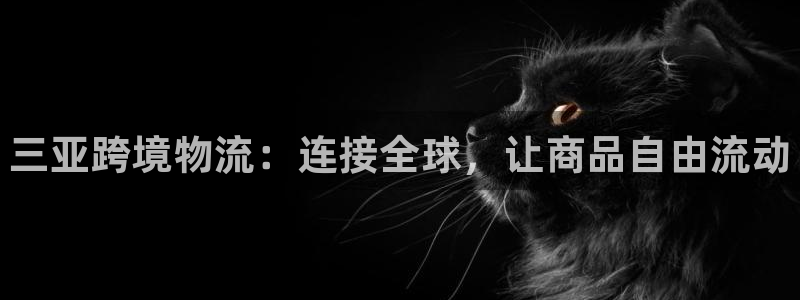 28圈游戏链接：三亚跨境物流：连接全