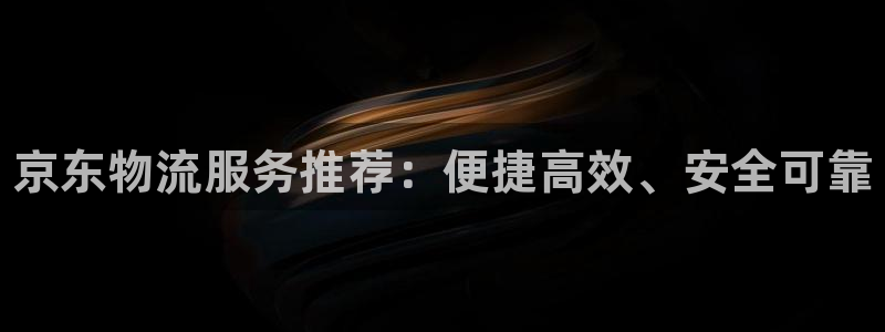 28圈圈：京东物流服务推荐：便捷高效、安全可靠