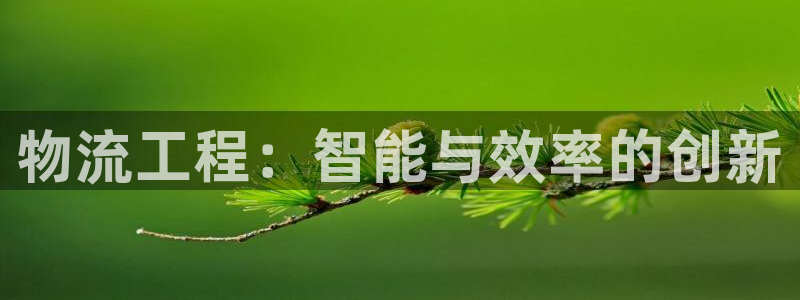 28圈PG电子游戏：物流工程：智能与