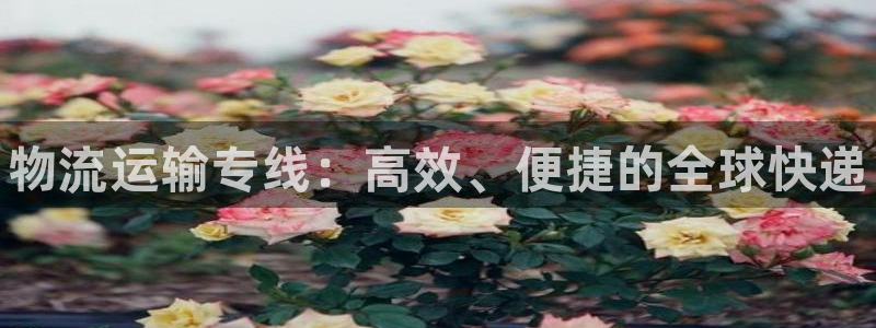 28圈预测：物流运输专线：高效、便捷